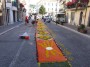 infiorata (46)